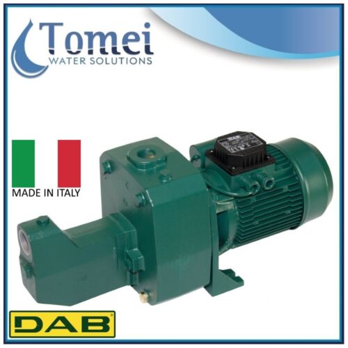 1,5hp Jet Pump Electric Water Well Shallow Pressure Booster Dab 151 In Cast Iron