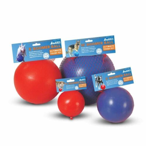 Boomer Ball 10 Inch, Virtually Indestructible Best Dog Toy, Boredom Busting Foot