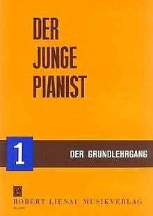 Der Junge Pianist 1, Brand New, Free P&p In The Uk