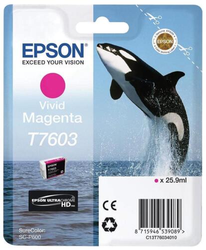Epson T7603 Vivid Magenta Ink Cartridge C13t76034010 /