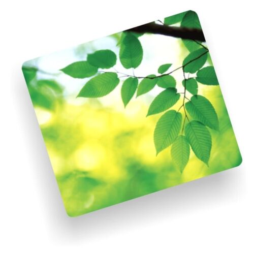 Fellowes 59038 Earth Series Mouse Pad Leaves 6 Pack
