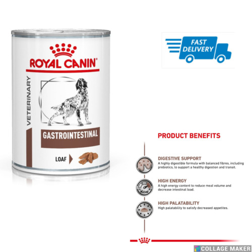 Gastrointestinal Royal Canin Dog Food , 12x400g In Loaf Digestive Support