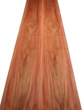 Indien Pommier Holzfurnier Tineo Y4 253x18-20cm 3 Feuillage