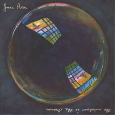 Jana Horn The Window Is The Dream (vinyl) 12