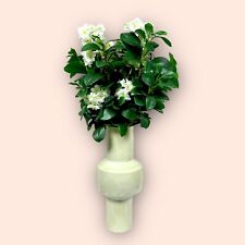 Moderne Vase De Light & Living Crème 41cm Haut Neuf Récipient