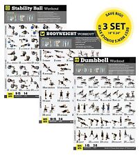 Strength Training Workout Exercise Poster Bundle 3 Pack Free Weight 18