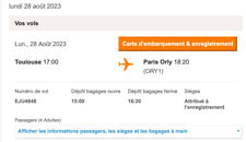 2 Billets D'avion Toulouse Blagnac Paris Orly  28/08/2023 Prix Unitaire 40 Euros