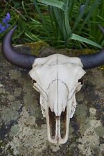 708.3403 Grand Crane Bison V Tete De Mort Squelette Figurine Gothique 32cm