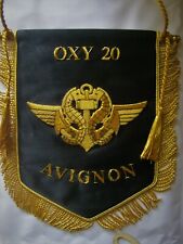 Fanion Des Commandos Marine Oxy 20 Avignon (cannetille) Neuf