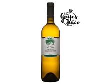 Fattoria San Lorenzo De Gino 2016 Vin Blanc Verdicchio Châteaux De Jesi Doc