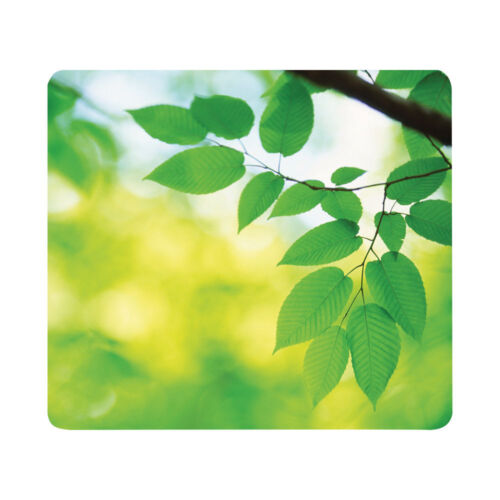 Fellowes 59038 Earth Series Mouse Pad Leaves 6 Pack