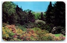 Highland Park Rochester Azaleas Rhododendrons New York Non Utilisé Carte Postale
