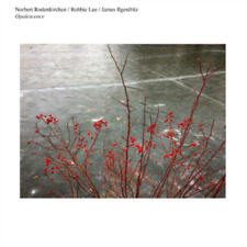 Norbert Rodenkirchen/robbie Lee/james Ilgenfritz Opalescence (vinyl) 12