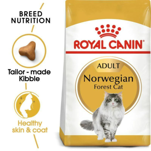 Norwegian Forest - (10kg) - Royal Canin Adult Cat Dry Food Rc Skin & Coat Feed 