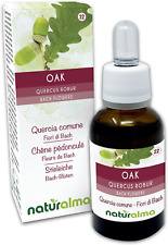 Oak Ou Chêne Pédonculé (quercus Robur Var. Pedunculata) Fleurs De Bach Naturalma