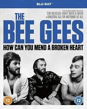 The Bee Gees - How Can You Mend A Broken Heart? (blu-ray)