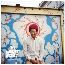 Toro Y Moi What For? (cd)