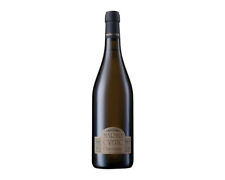 Vino Bianco Chardonnay Colline Teatine Igt Marina Cvetic 75cl 14% Masciarelli 20