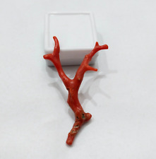 Vintage Red Sea Coral Polished Loose Reef Branch, Natural Red Coral Reef Branch