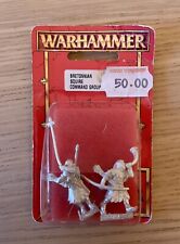 Warhammer Fantasy Bretonnian Squire Command Group Errant Horn Banner Métal Gw